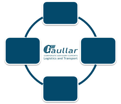 Gaullar Ideas